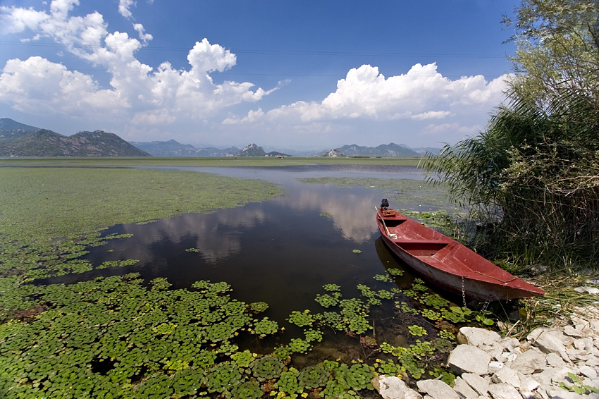 Skadar Lake, Montenegro