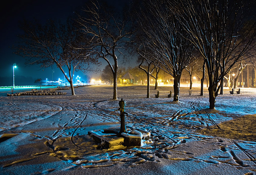 Palić by Night