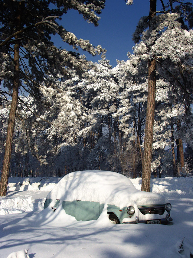 Car in the Snow, Palić