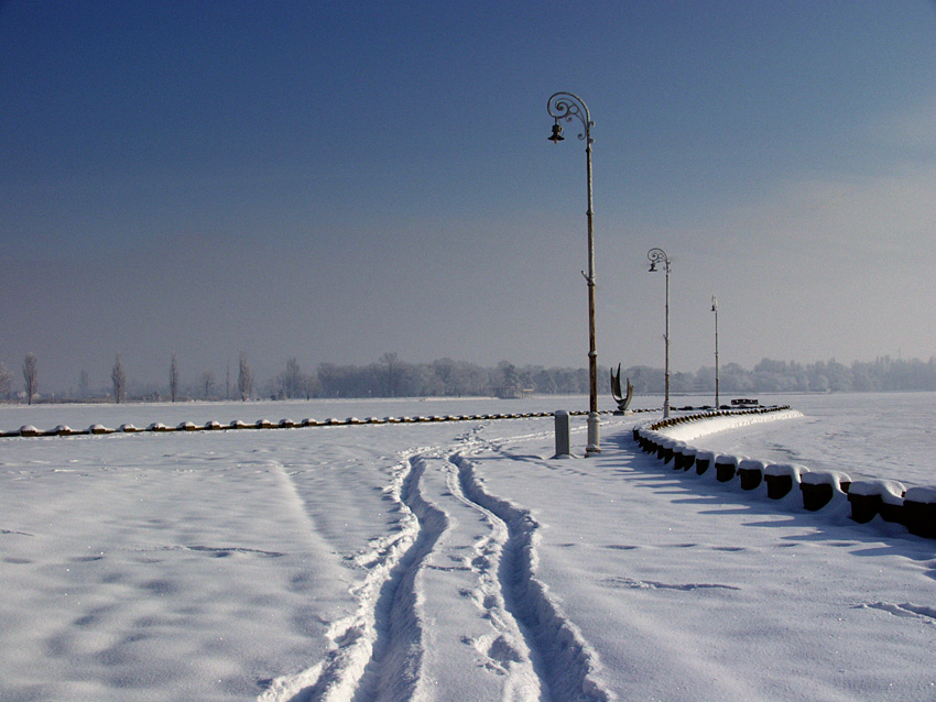 Path, Palić