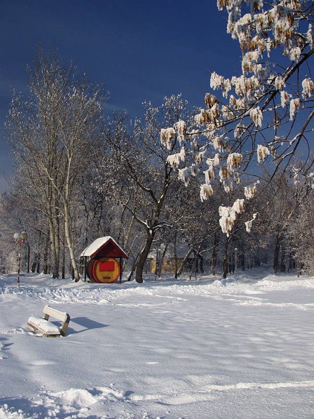 Palić in Winter