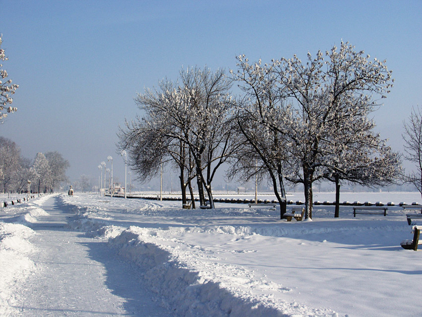 White Palic