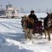 Palić in Winter