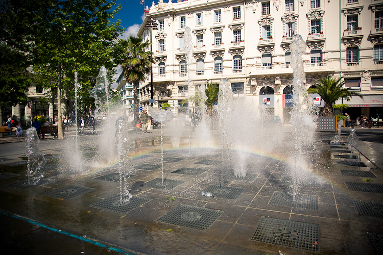 _MG_2453.jpg
