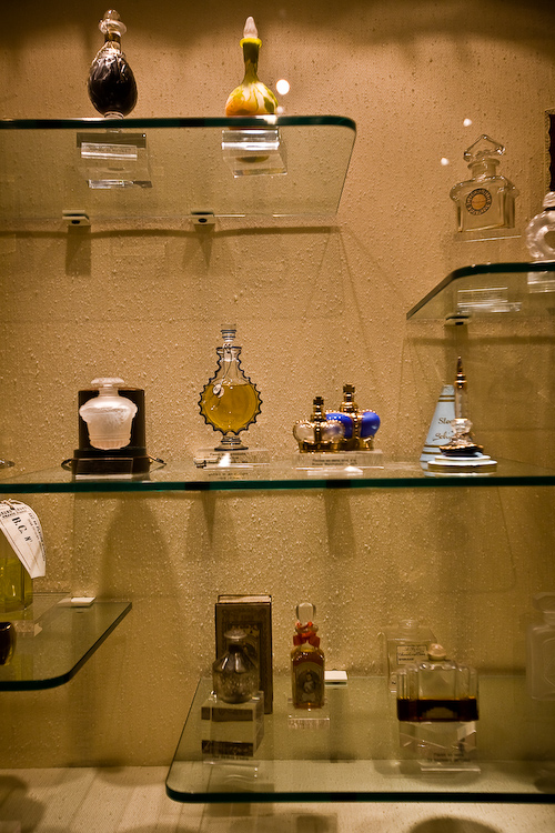 _MG_2515.jpg