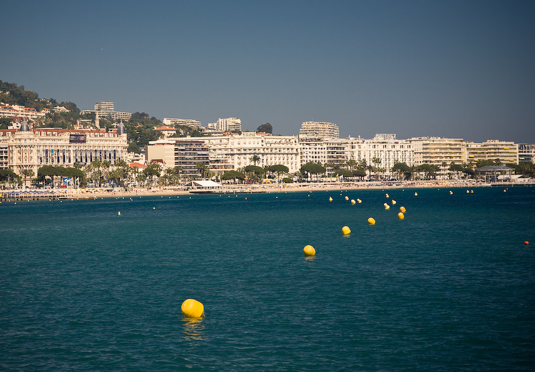 _MG_2596.jpg