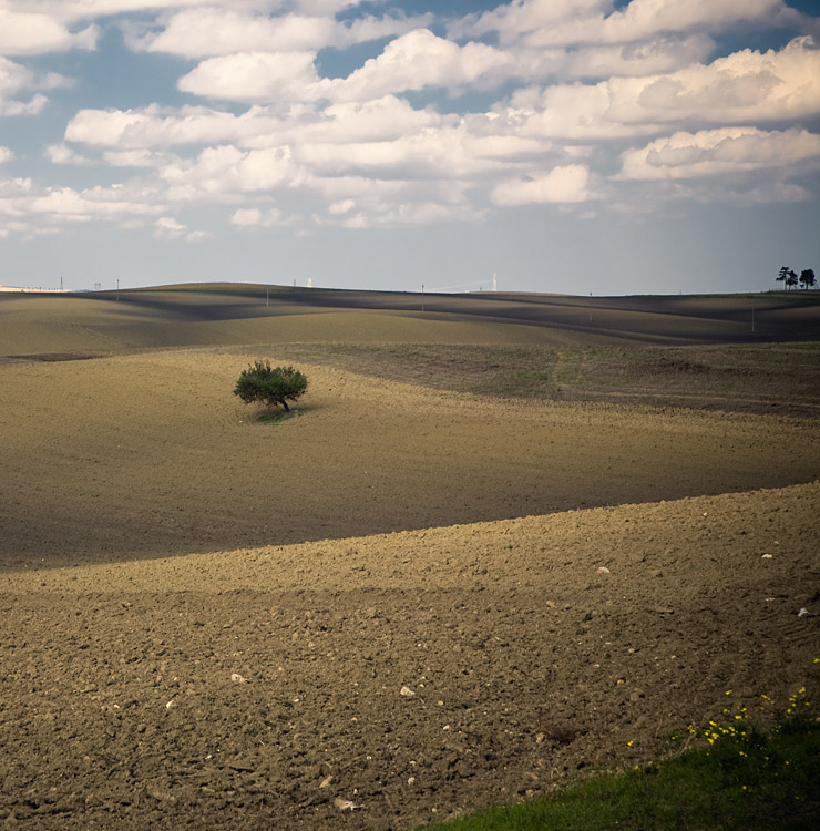 _MG_9472.jpg