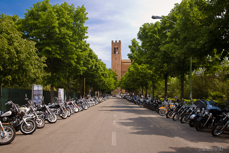 _MG_2750.jpg