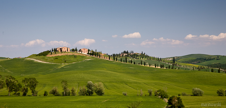 _MG_9078.jpg