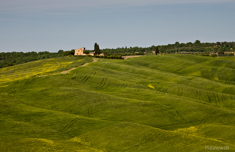_MG_9162.jpg