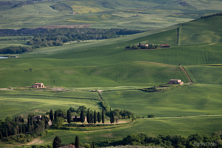 _MG_9188.jpg
