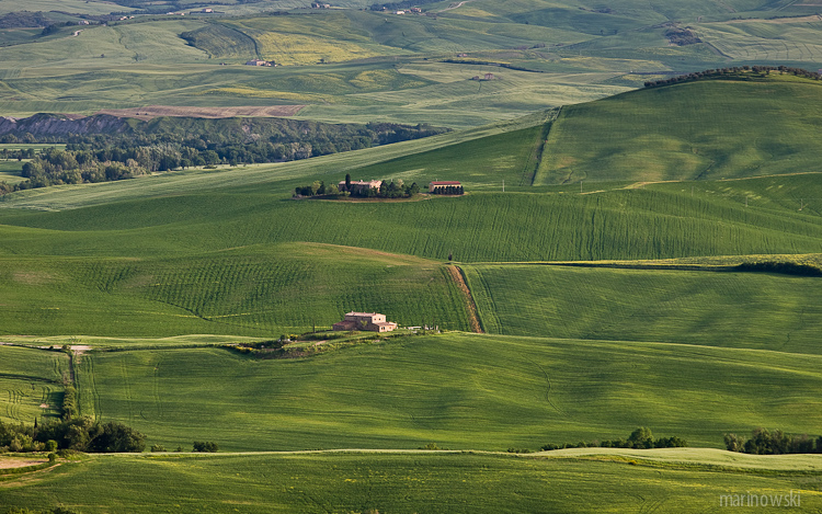 _MG_9204.jpg